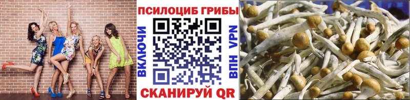 наркотики  blacksprut как зайти  Псилоцибиновые грибы ЛСД  Волхов 
